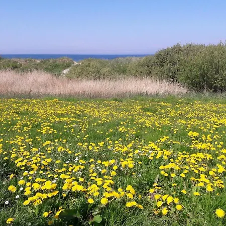 Summer Baltic Sea
